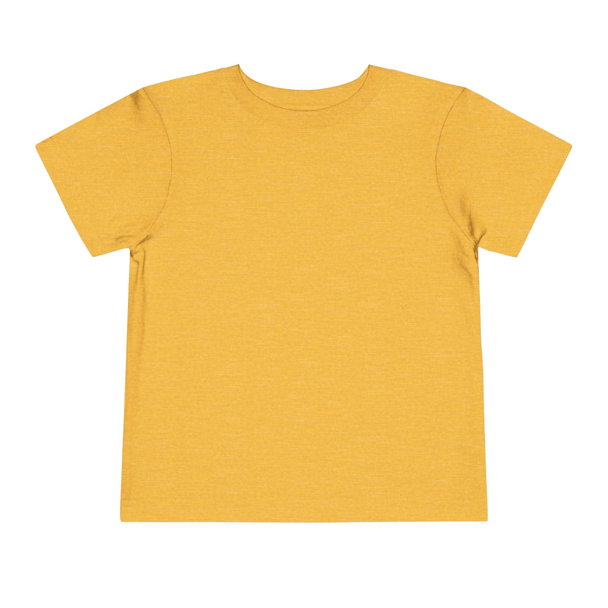 Toddler Tee — "Feral & Free" Raccoon 4th of July Patriotic Shirt