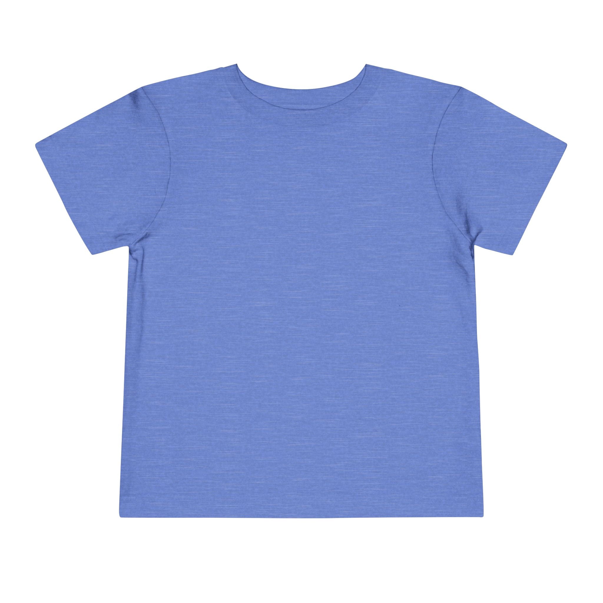 Toddler Tee — "Feral & Free" Raccoon 4th of July Patriotic Shirt