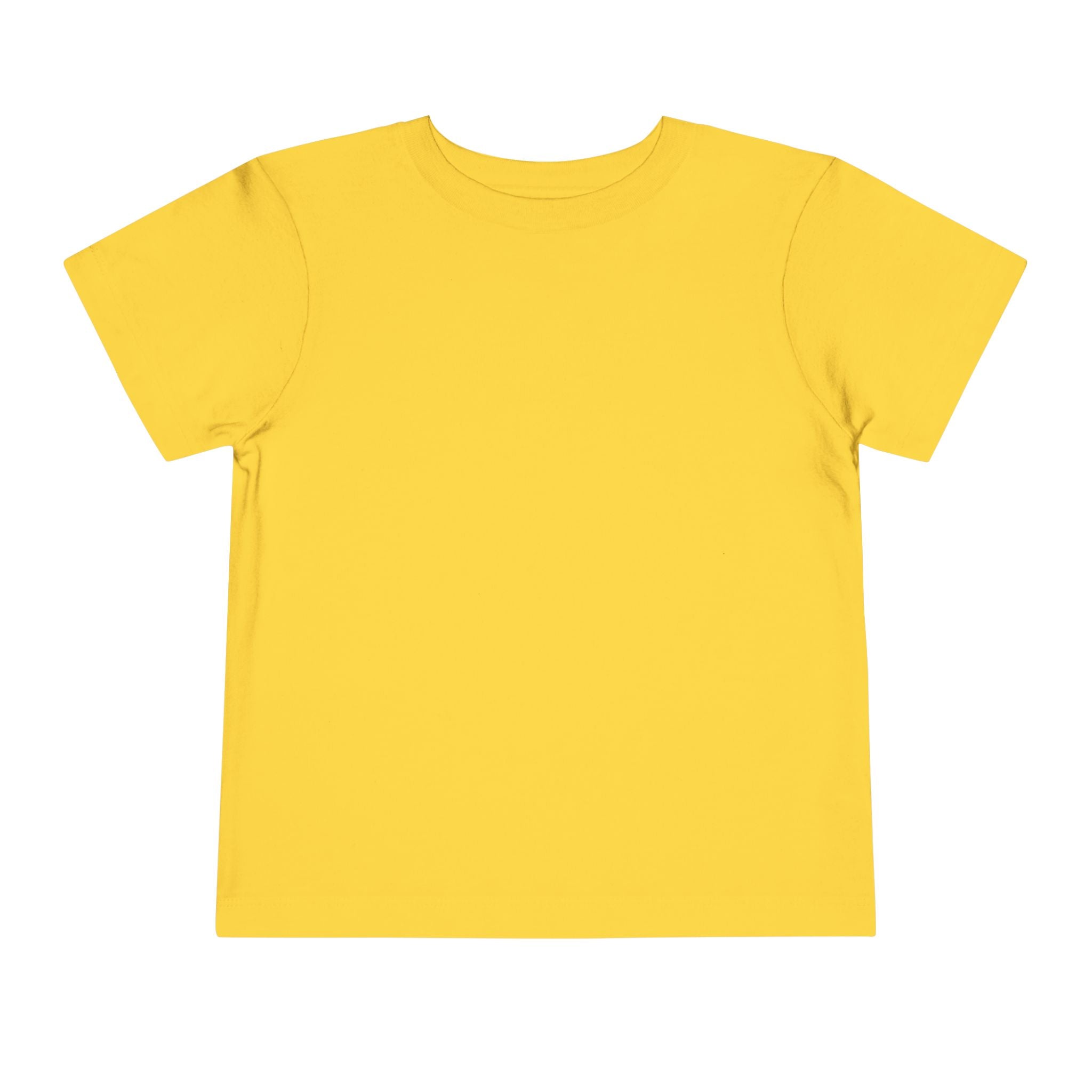 Toddler Tee — "Feral & Free" Raccoon 4th of July Patriotic Shirt