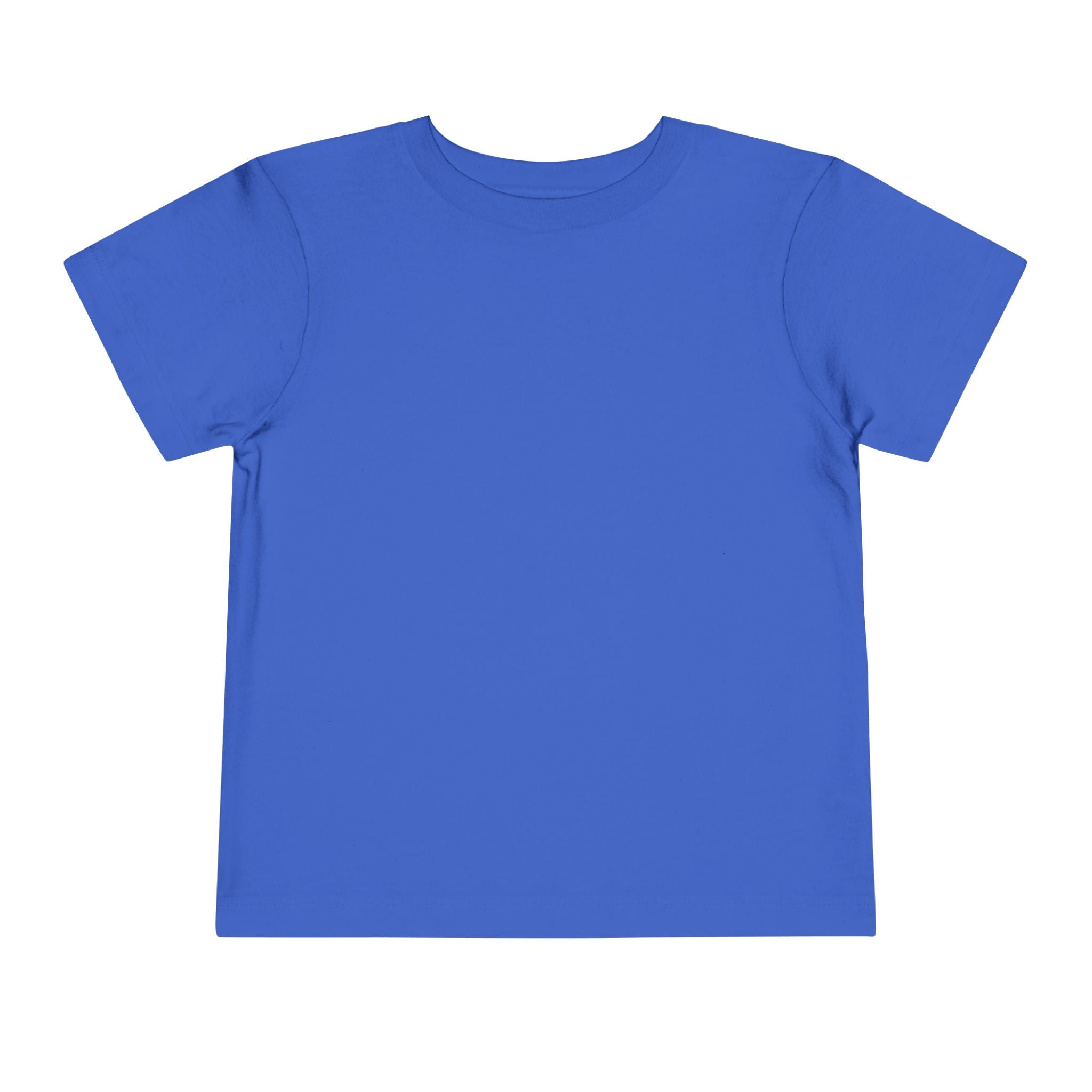 Toddler Tee — "Feral & Free" Raccoon 4th of July Patriotic Shirt